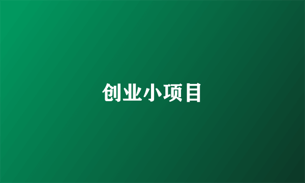 创业小项目