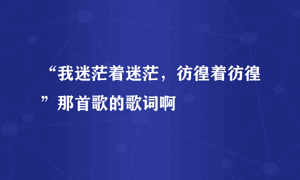 “我迷茫着迷茫，彷徨着彷徨”那首歌的歌词啊