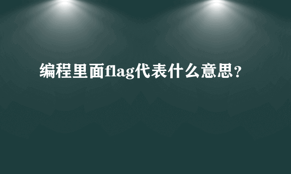 编程里面flag代表什么意思？