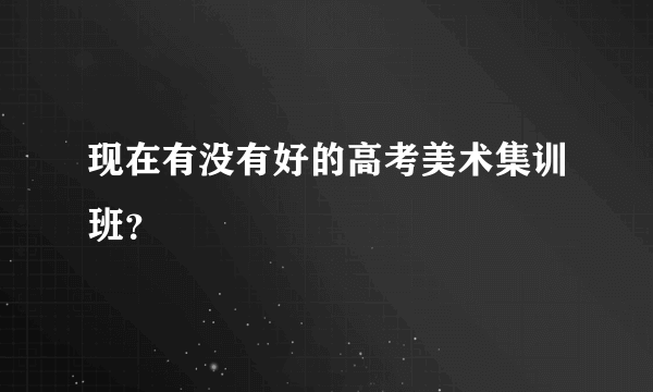 现在有没有好的高考美术集训班？