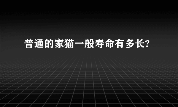 普通的家猫一般寿命有多长?