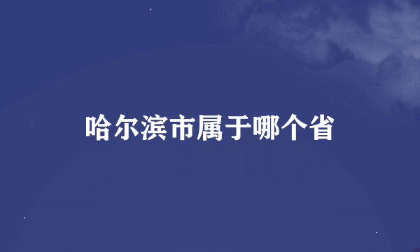 哈尔滨市属于哪个省