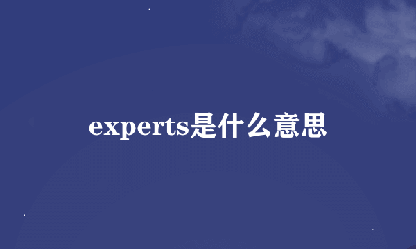 experts是什么意思