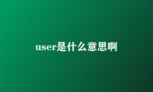 user是什么意思啊