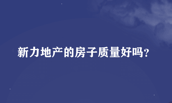 新力地产的房子质量好吗？