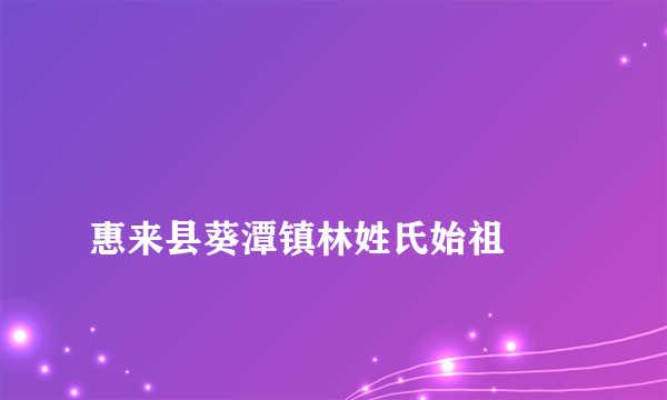 
惠来县葵潭镇林姓氏始祖
