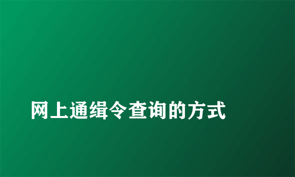 
网上通缉令查询的方式
