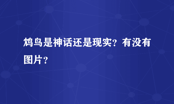 鸩鸟是神话还是现实？有没有图片？