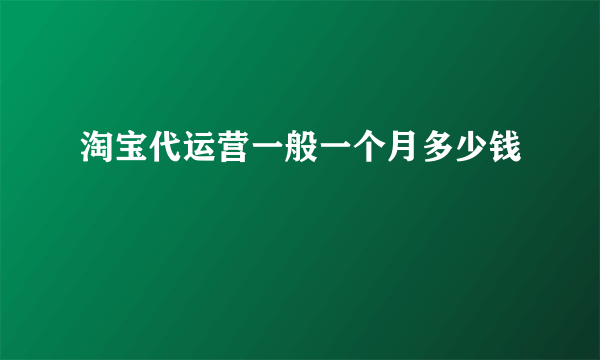 淘宝代运营一般一个月多少钱