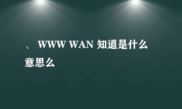 、 WWW WAN 知道是什么意思么