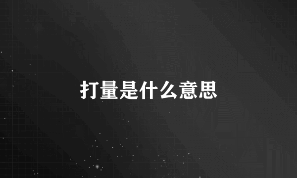 打量是什么意思