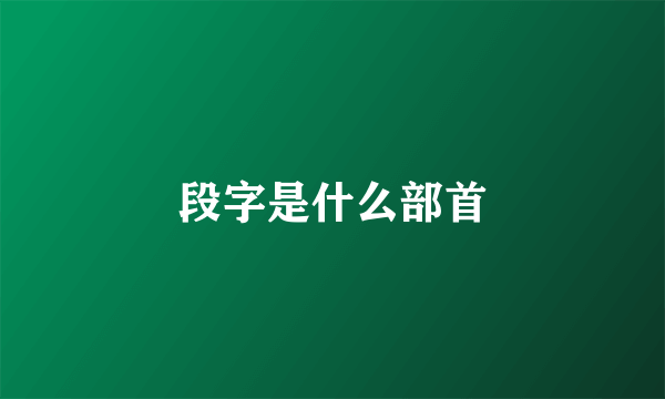 段字是什么部首