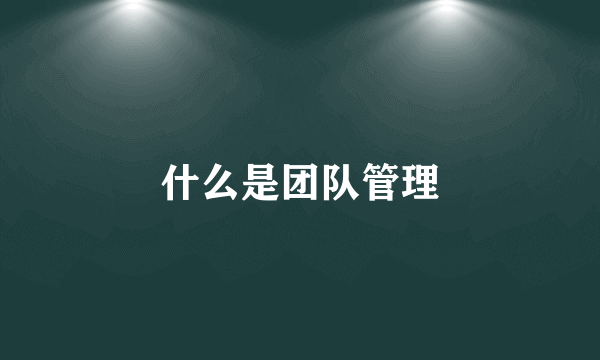 什么是团队管理