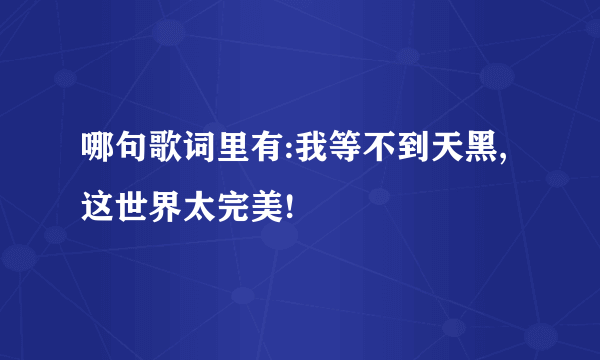 哪句歌词里有:我等不到天黑,这世界太完美!