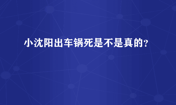 小沈阳出车锅死是不是真的？