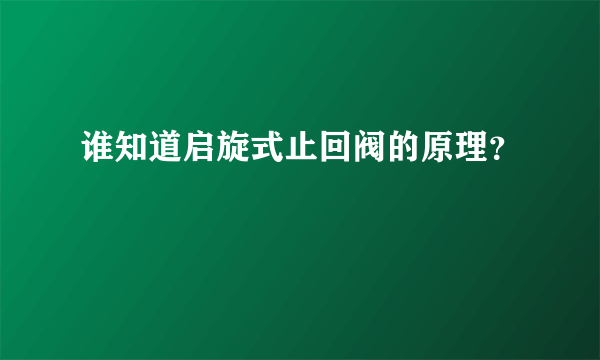 谁知道启旋式止回阀的原理？