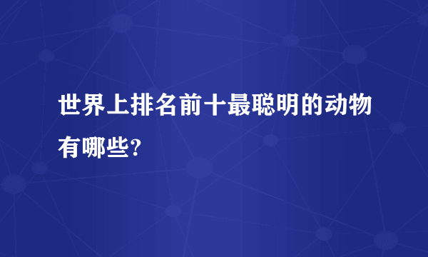 世界上排名前十最聪明的动物有哪些?