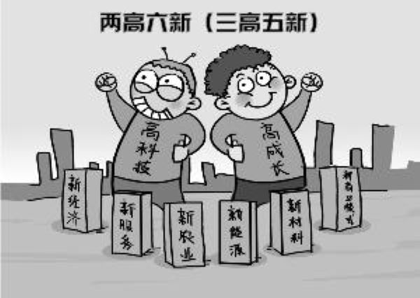 两高六新是什么？怎样确定？