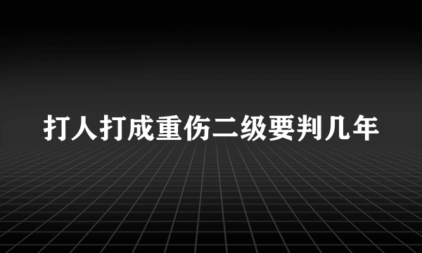 打人打成重伤二级要判几年