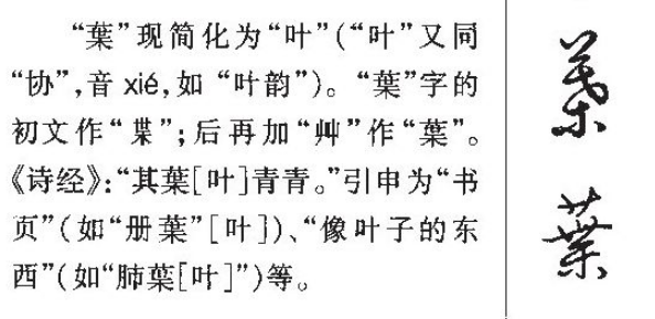 叶字拼音怎么拼叶字怎么读 拼音怎么拼