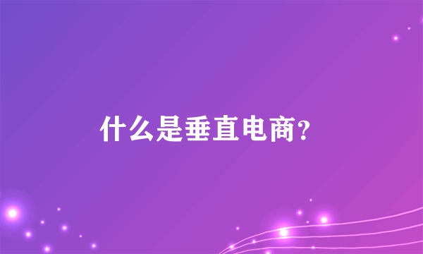 什么是垂直电商？