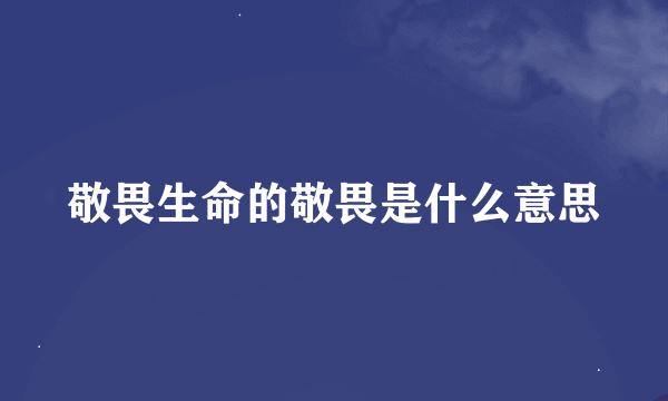 敬畏生命的敬畏是什么意思