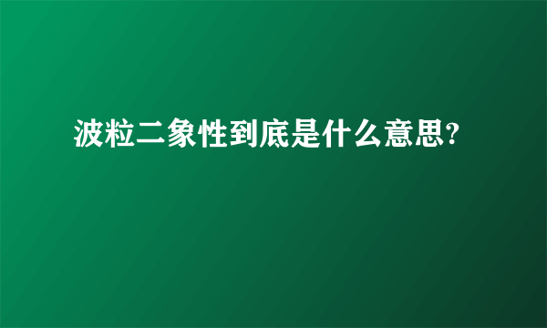 波粒二象性到底是什么意思?