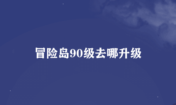 冒险岛90级去哪升级