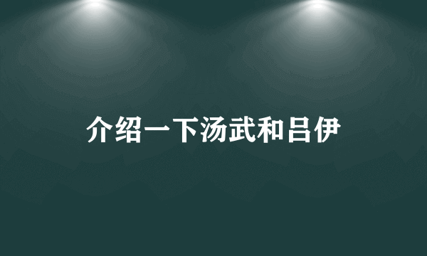 介绍一下汤武和吕伊