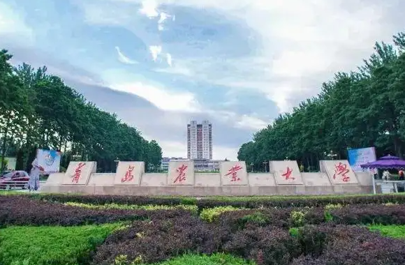 479可以上什么大学