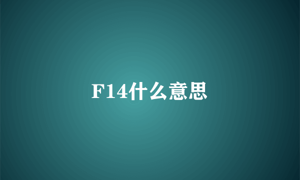 F14什么意思