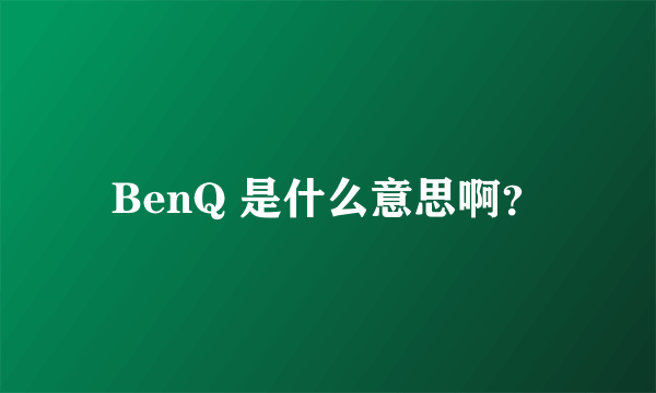 BenQ 是什么意思啊？