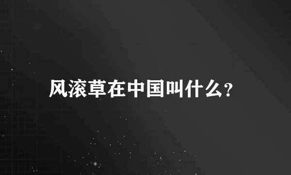 风滚草在中国叫什么？