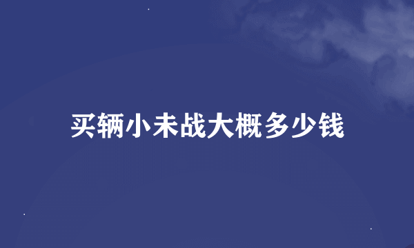 买辆小未战大概多少钱