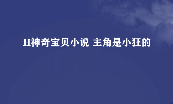 H神奇宝贝小说 主角是小狂的