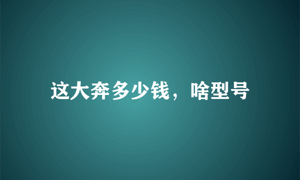 这大奔多少钱，啥型号