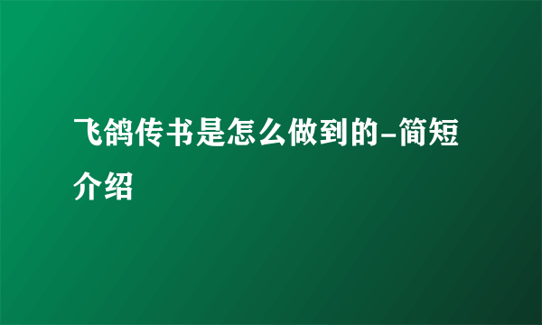 飞鸽传书是怎么做到的-简短介绍