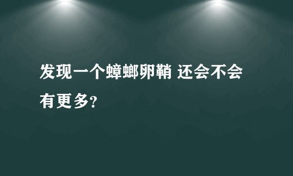 发现一个蟑螂卵鞘 还会不会有更多？