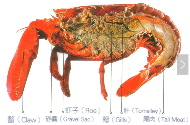 大龙虾怎么吃图解