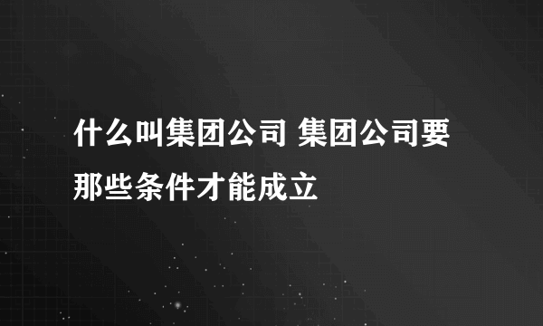 什么叫集团公司 集团公司要那些条件才能成立