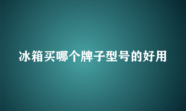 冰箱买哪个牌子型号的好用