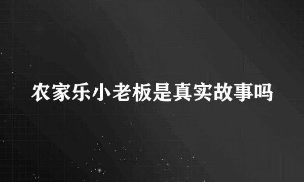 农家乐小老板是真实故事吗