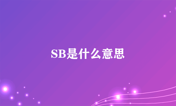 SB是什么意思