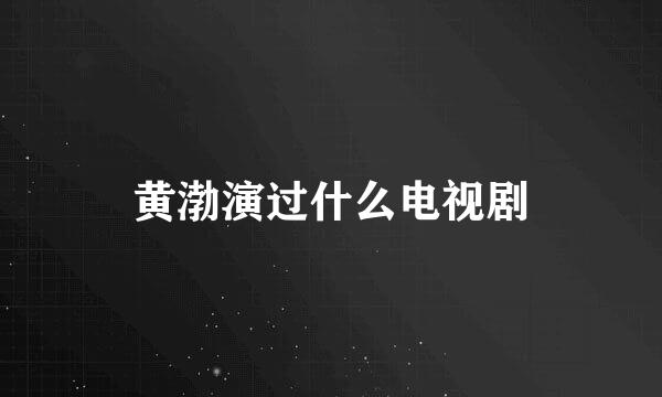 黄渤演过什么电视剧