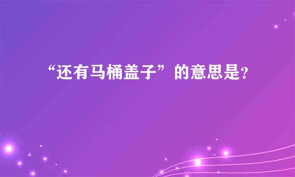 “还有马桶盖子”的意思是？