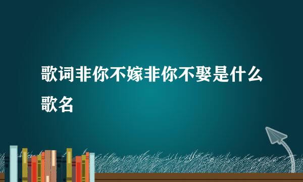 歌词非你不嫁非你不娶是什么歌名