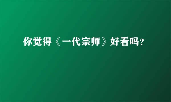 你觉得《一代宗师》好看吗？