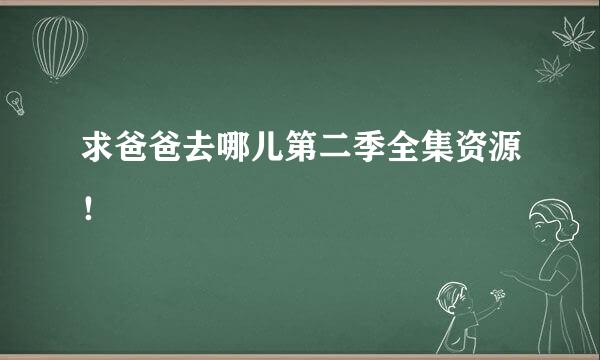 求爸爸去哪儿第二季全集资源！