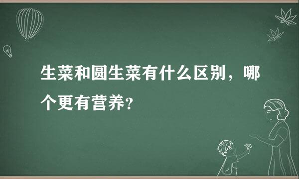 生菜和圆生菜有什么区别，哪个更有营养？