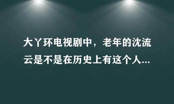 大丫环电视剧中，老年的沈流云是不是在历史上有这个人，她所讲的这个故事是不是真实的？